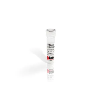 RNase Inhibitor, Murine
