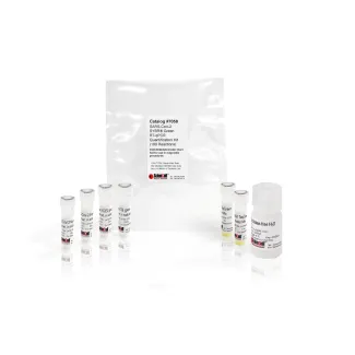 SARS-CoV-2 SYBR® Green RT-qPCR Quantification Kit