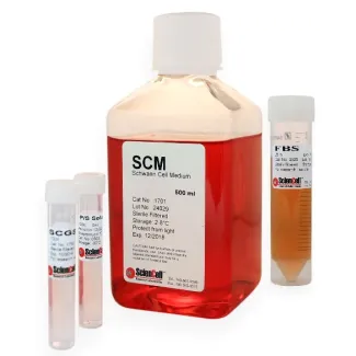 Schwann Cell Medium