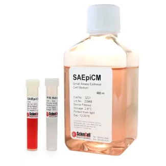 Small Airway Epithelial Cell Medium