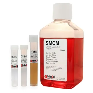 Smooth Muscle Cell Medium, SMCM