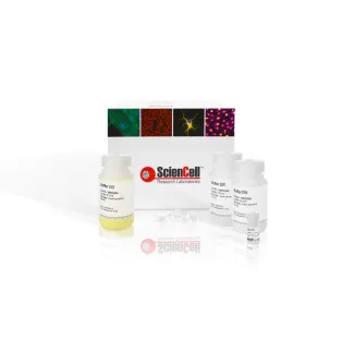 SpeeDNA Gel Extraction Kit, 250 preps
