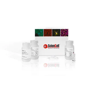 SpeeDNA Isolation Kit - 200 preps