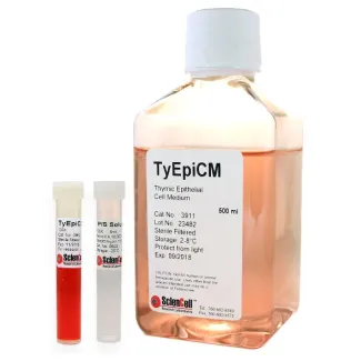 Thymic Epithelial Cell Medium