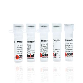 TranscriEase T7 RNA Synthesis Kit