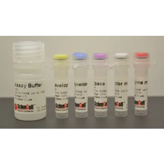 Triglyceride Assay
