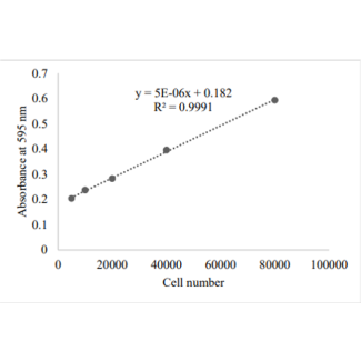 Vitronectin Cell Adhesion Assay