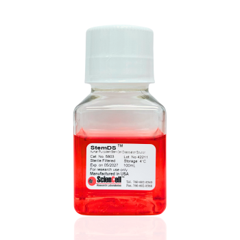 Human Pluripotent Stem Cell-derived Neural Stem Cells (H9-NSC)