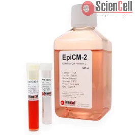 Epithelial Cell Medium-2 (EpiCM-2 )