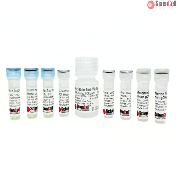 人类核 DNA 损伤定量 qPCR 检测试剂盒