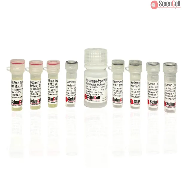 人类线粒体 DNA 损伤定量 qPCR 检测试剂盒