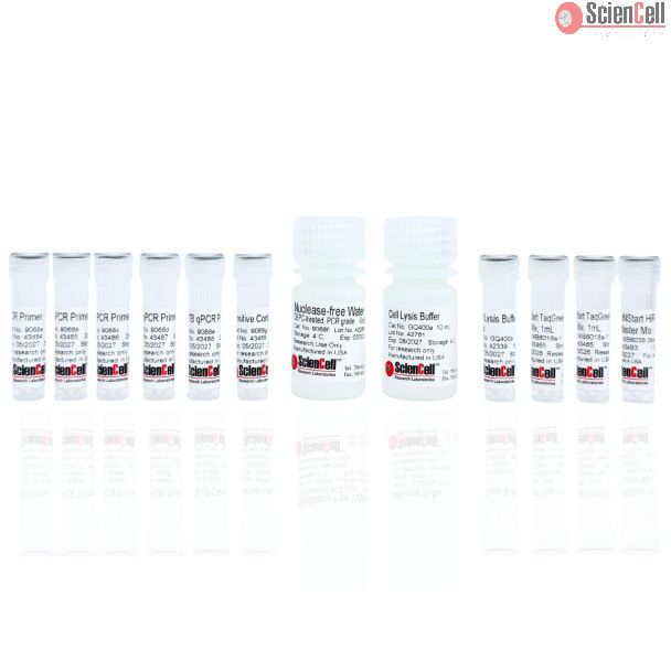 人类APOE基因分型实时荧光定量PCR检测试剂盒