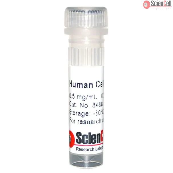 人细胞纤维连接蛋白