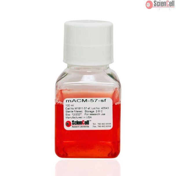 小鼠星形胶质细胞条件培养基-57-无血清