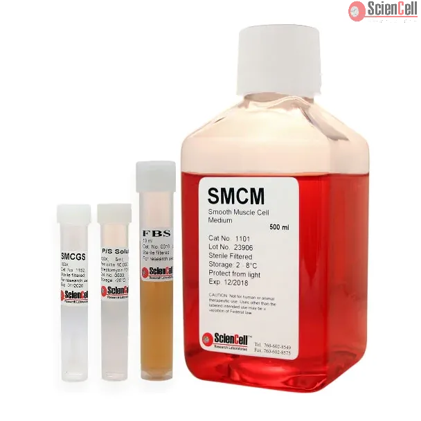 平滑肌细胞培养基（SMCM）