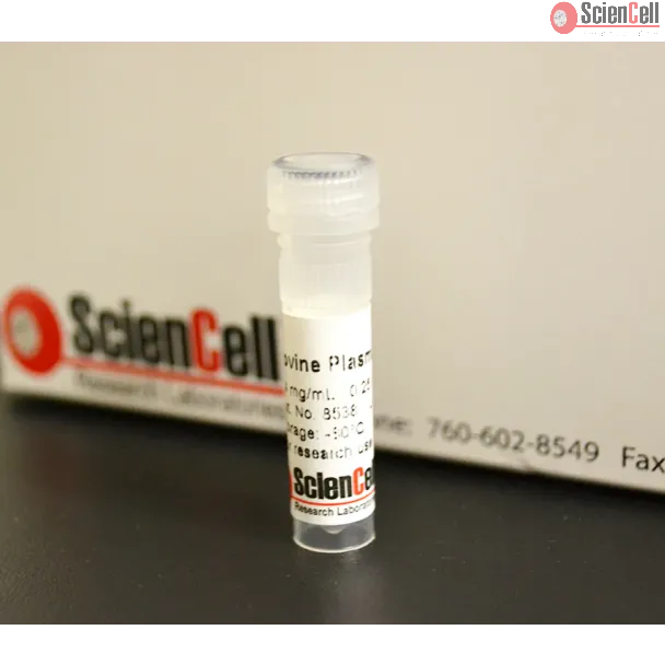 牛血浆玻连蛋白