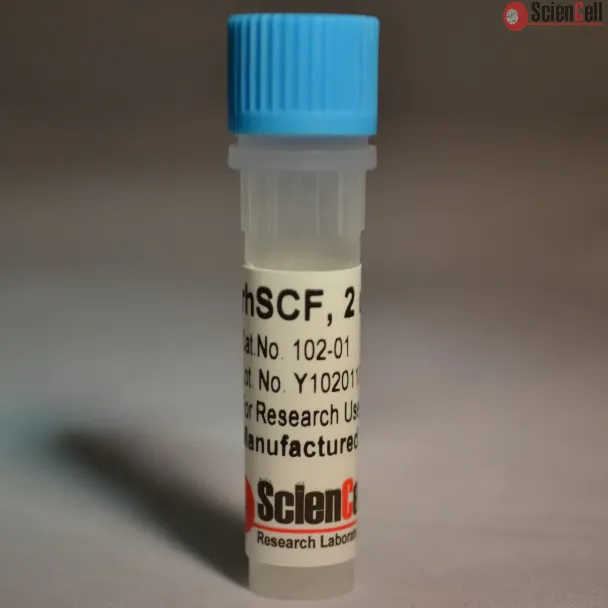 重组人干细胞因子
