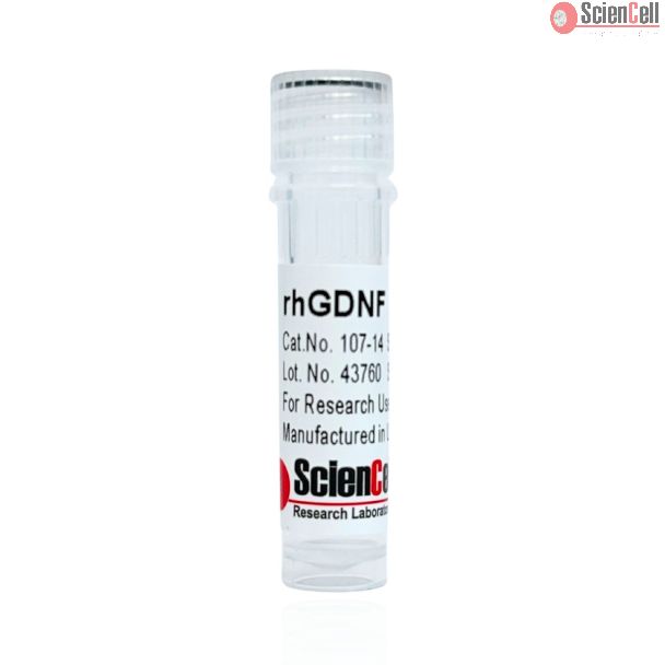 重组人源胶质细胞系来源神经营养因子 (GDNF)