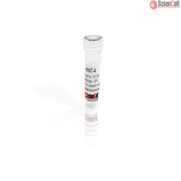 重组人神经营养因子-4（Neurotrophin-4）