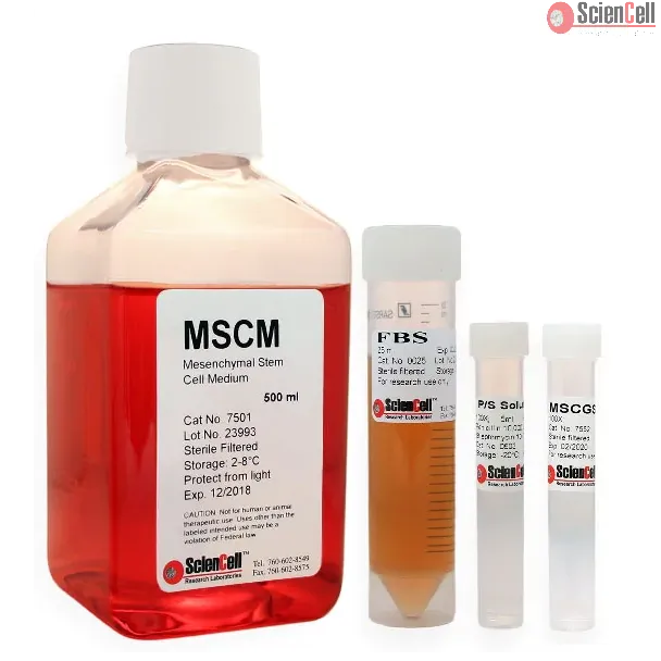 间充质干细胞培养基（MSCM）