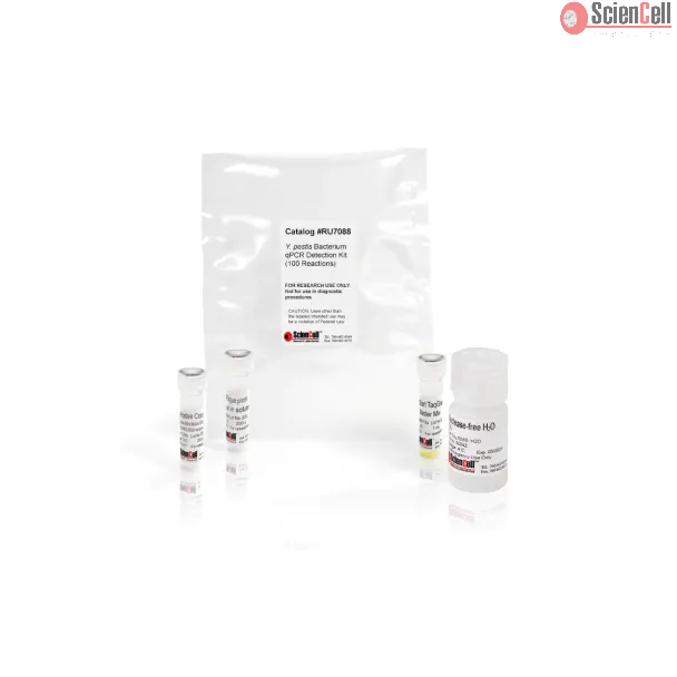 Yersinia Pestis Bacterium qPCR Detection Kit 100 reactions