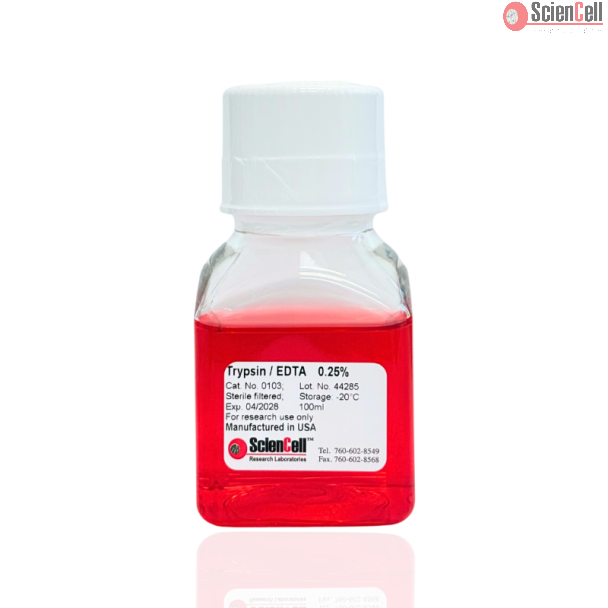 0.25% 胰蛋白酶/EDTA