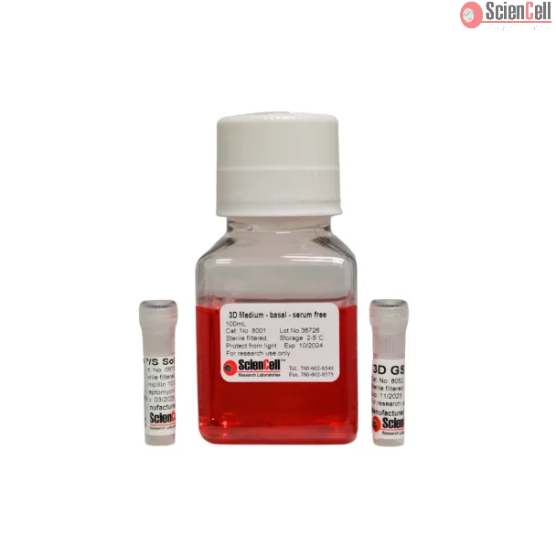3D Medium-basal-serum free
