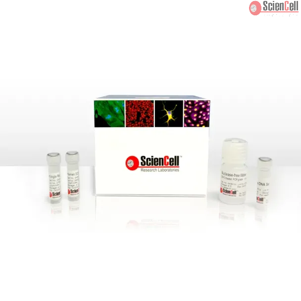Absolute Human Kringle Repeats Quantification qPCR Assay Kit