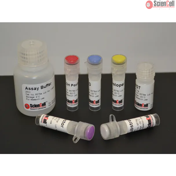 Aldehyde Dehydrogenase Assay