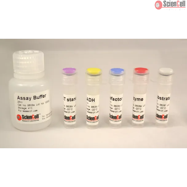 Aspartate Transaminase Assay