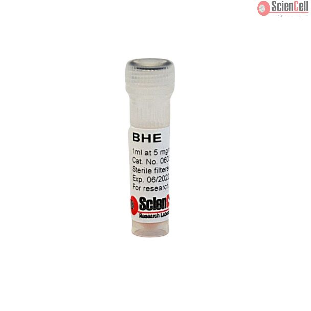 Bovine Hypothalamus Extract 10 mg/ml; 1 ml