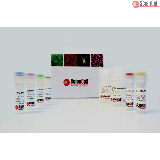 Colorimetric GAPDH Assay