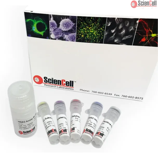 Colorimetric Histone Deacetylase Activity Assay