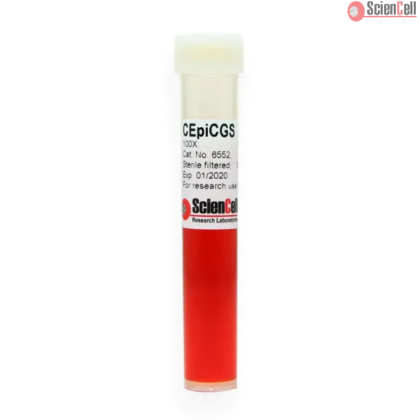 Corneal Epithelial Cell Growth Supplement