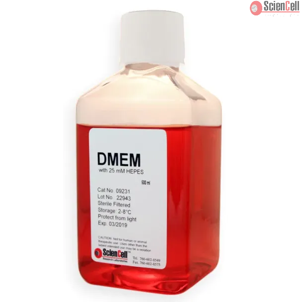 DMEM 培养基（含 L-谷氨酰胺、丙酮酸钠和 HEPES）