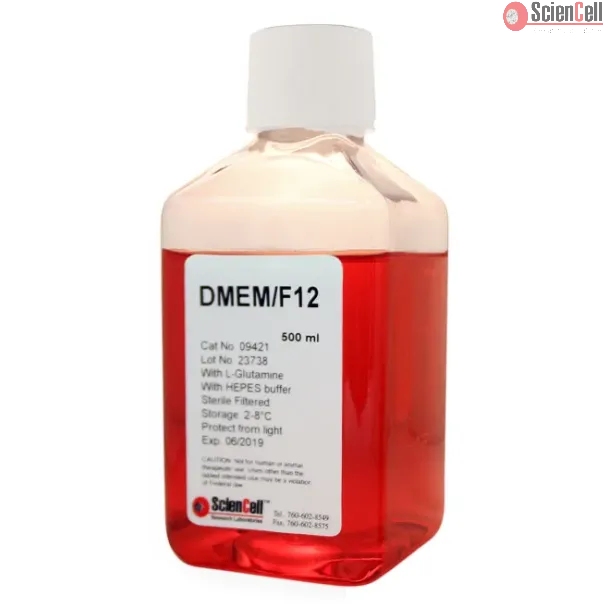 DMEM/F-12 培养基（含 L-谷氨酰胺和 HEPES）