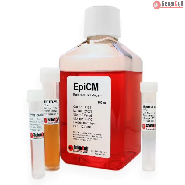Epithelial Cell Medium, EpiCM