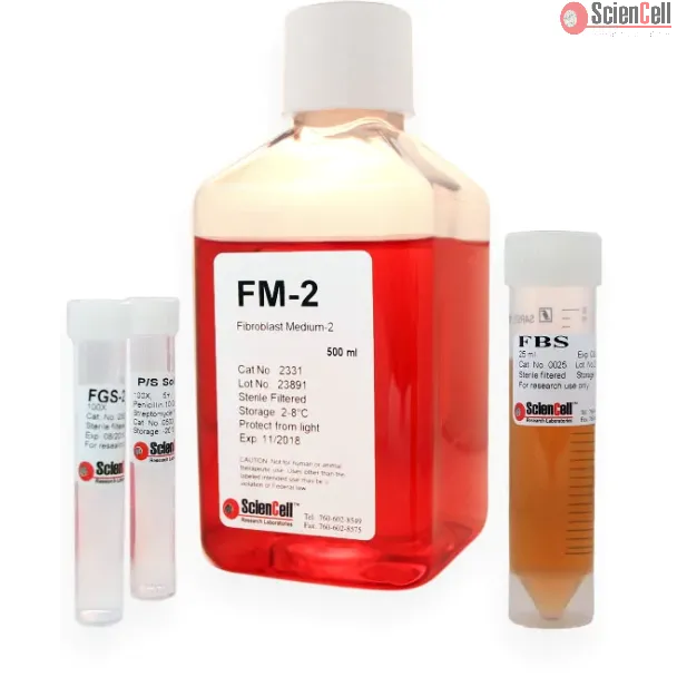 Fibroblast Medium-2
