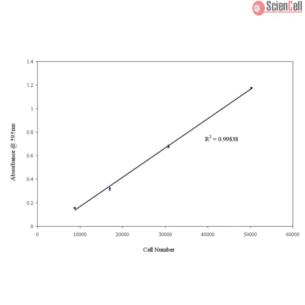 Fibronectin Cell Adhesion Assay
