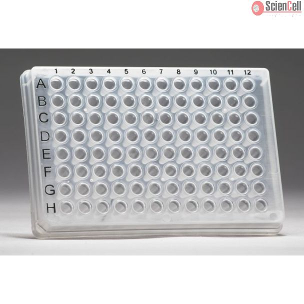 GeneQuery™ 人源抗病毒先天免疫反应 qPCR 阵列检测试剂盒