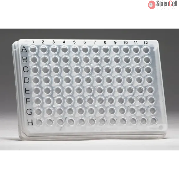 GeneQuery™ 人焦点黏附复合体 qPCR 阵列试剂盒（GQH-FAC）
产品编号：GK106