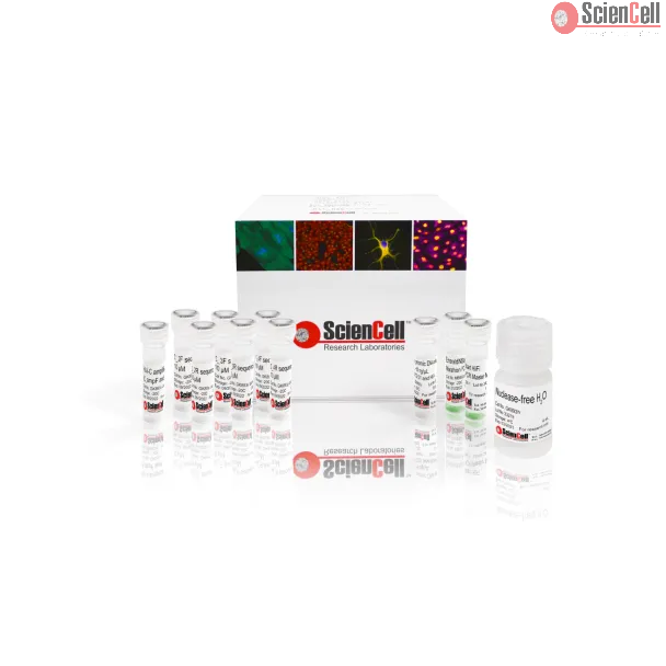 GeneQuery™ HLA-C PCR+Sanger 基于序列分型（SBT）试剂盒

