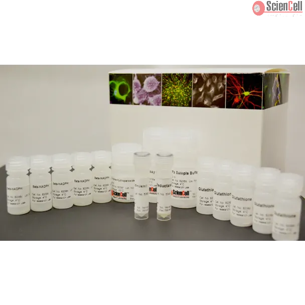 Glutathione Peroxidase Assay