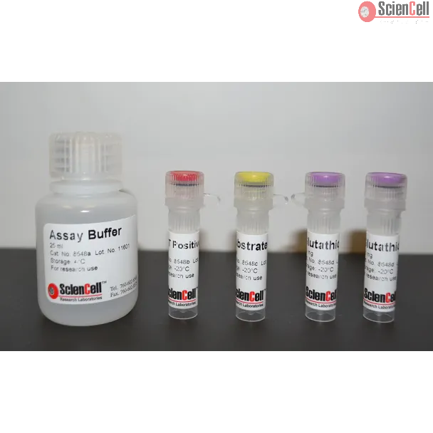 Glutathione S-transferases Assay