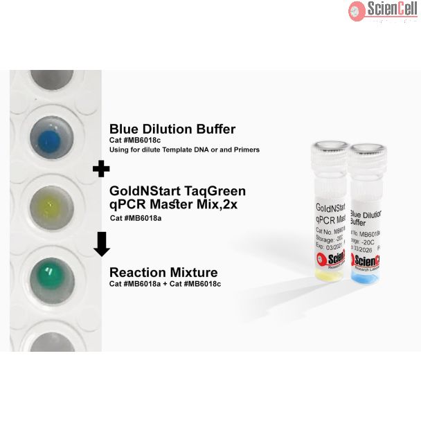 GoldNStart TaqGreen 双荧光追踪 qPCR 主混液