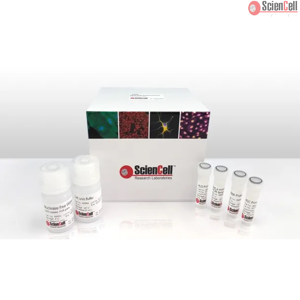 HeLa Cell Contamination Detection Kit