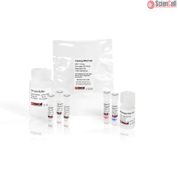 HIV-1 病毒一步法 RT-PCR 检测试剂盒
