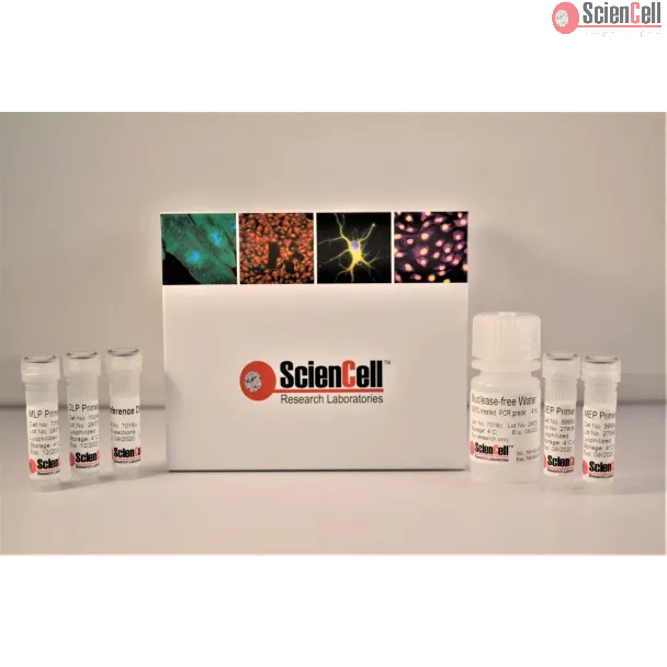 Human ELOVL2 Promoter and Global DNA  Dual Methylation Quantification qPCR Assay Kit