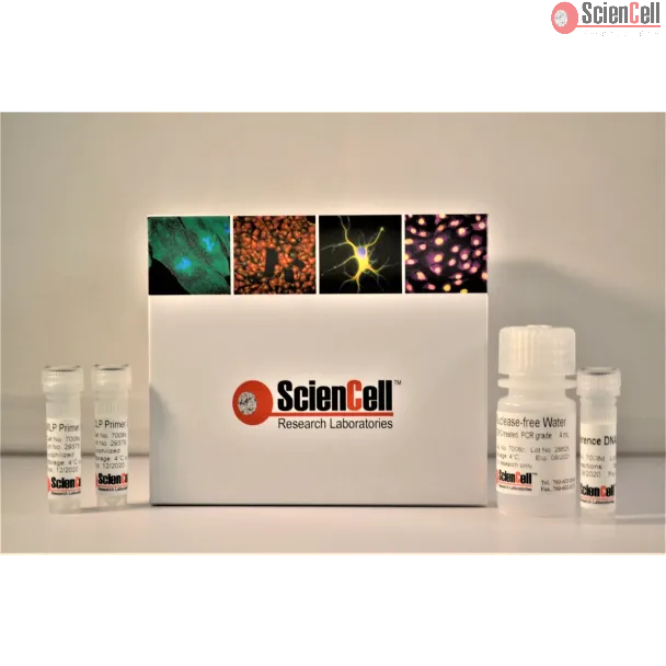 Human Global DNA Methylation Quantification qPCR Assay Kit