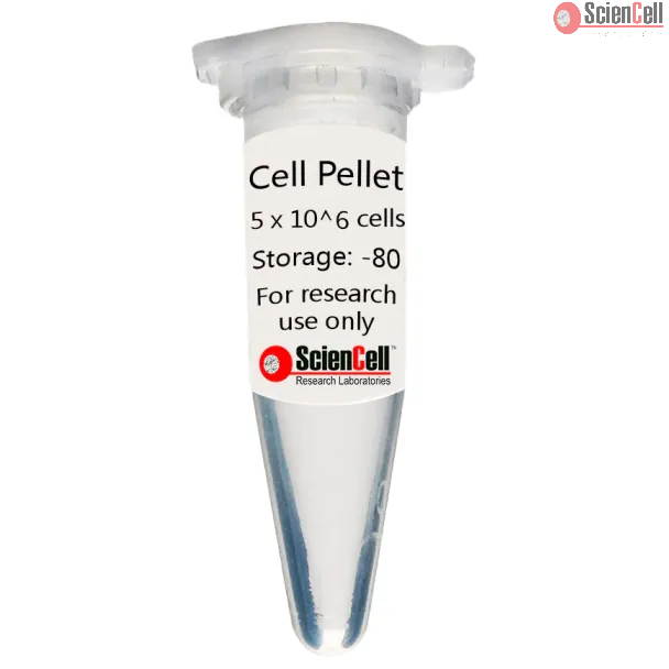 Human Mesenchymal Stem Cell-hepatic Cell Pellet   